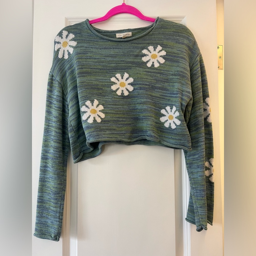 Pacsun Cropped Sweater